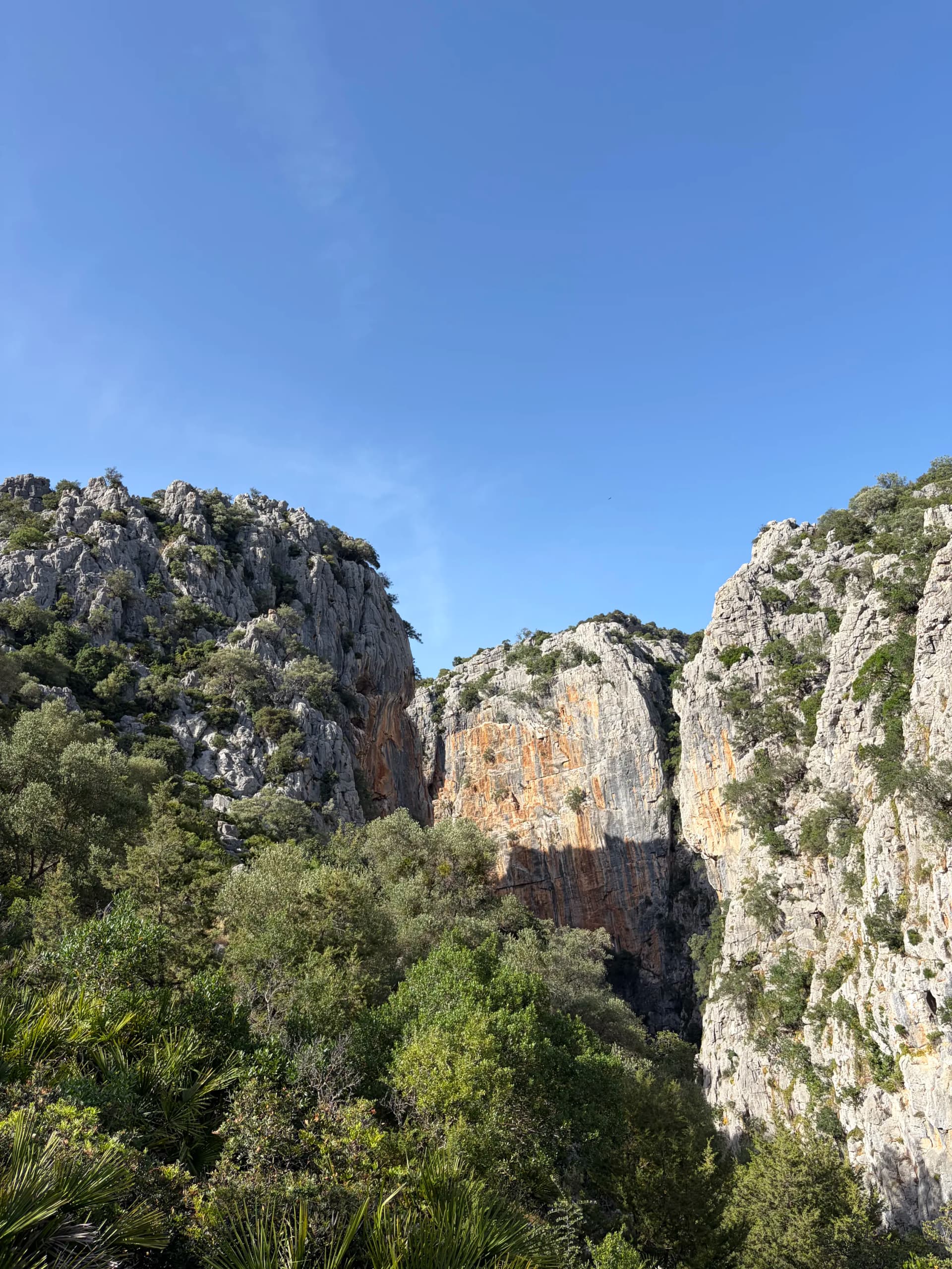 The Cañón de las Buitreras, a protected Natural Monument on the GR-141