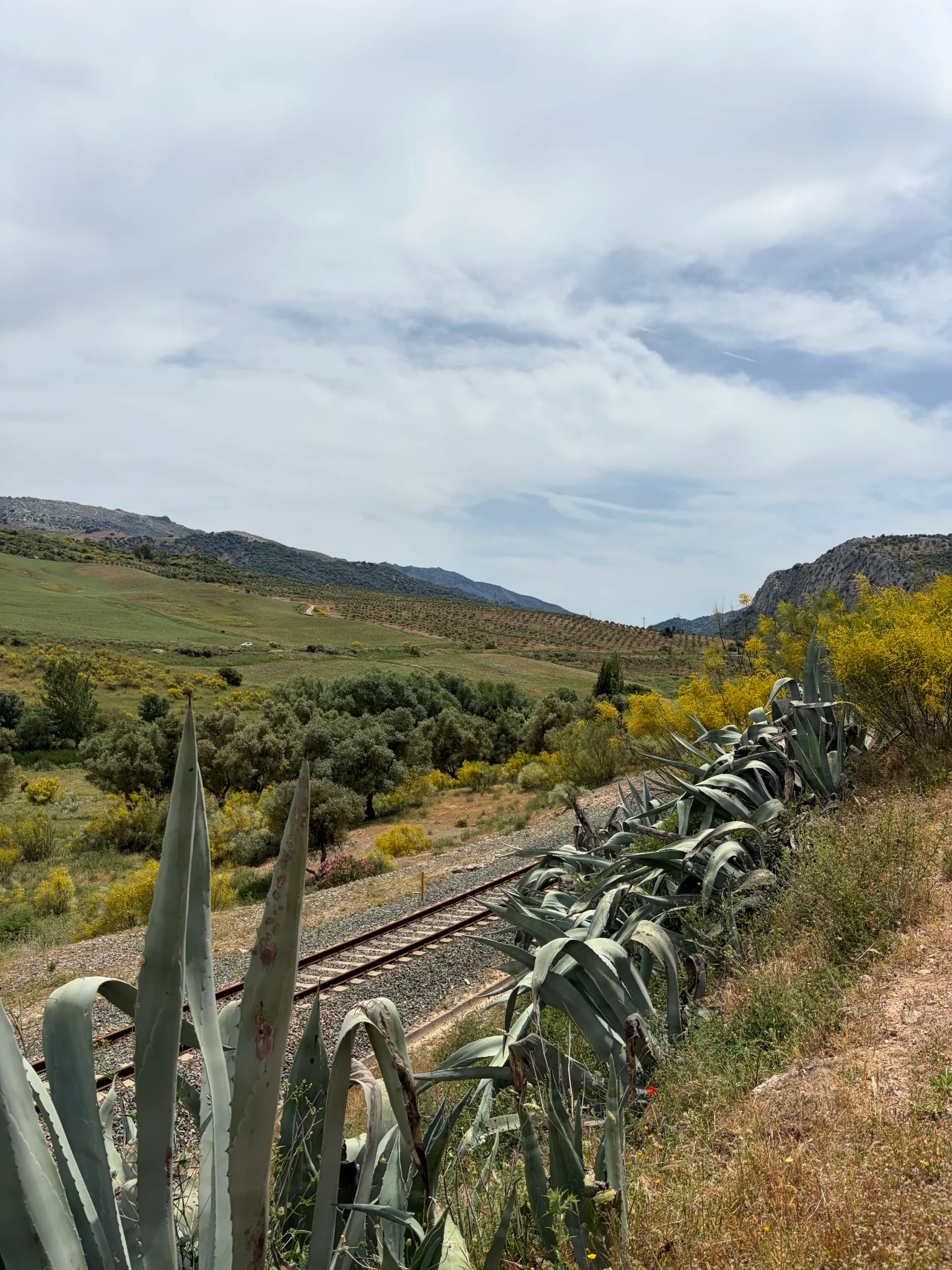 Crossing the old Ronda–Algeciras railway line on day one of the GR-141