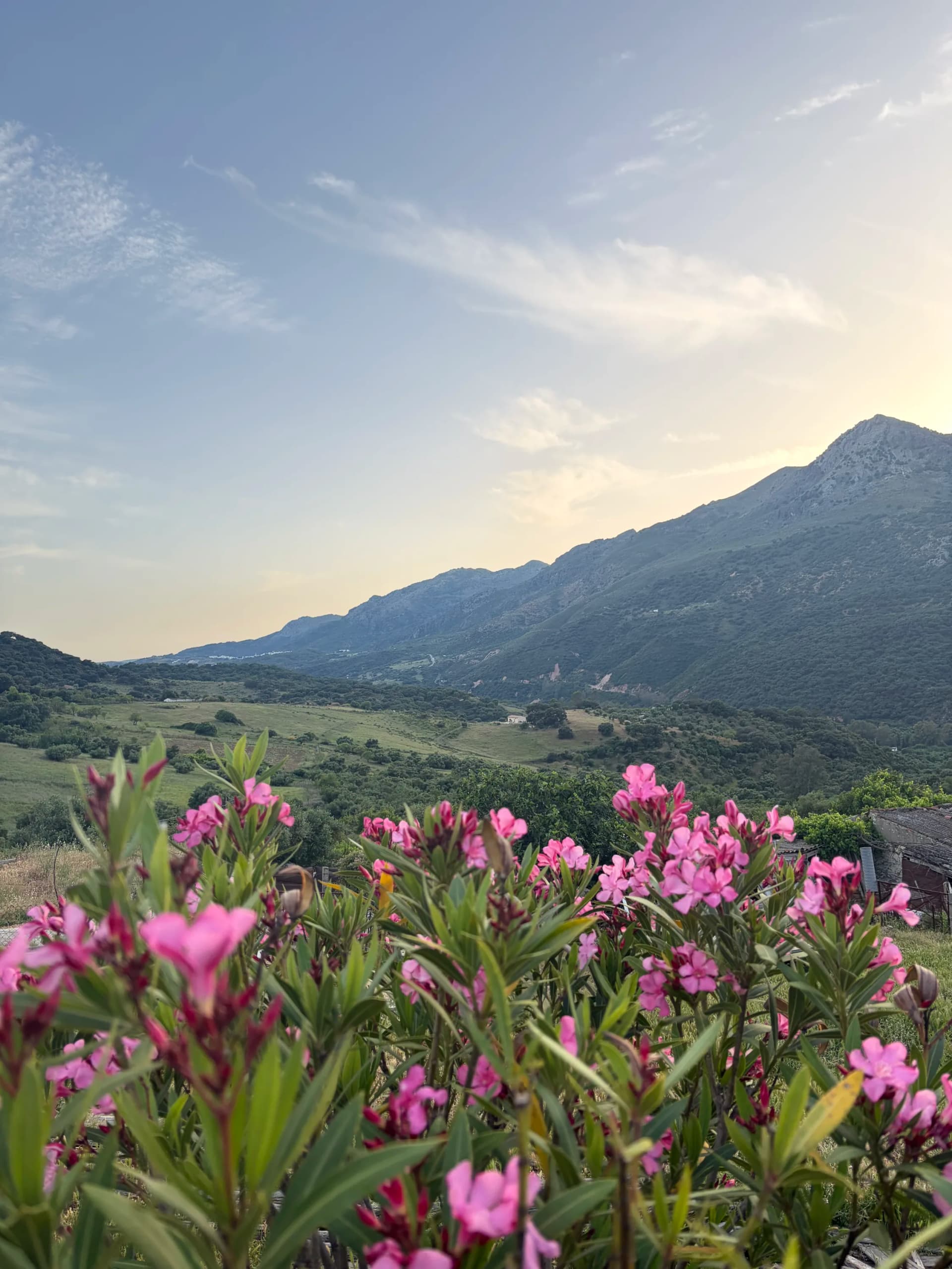 Evening view over the valley from Jimera de Líbar